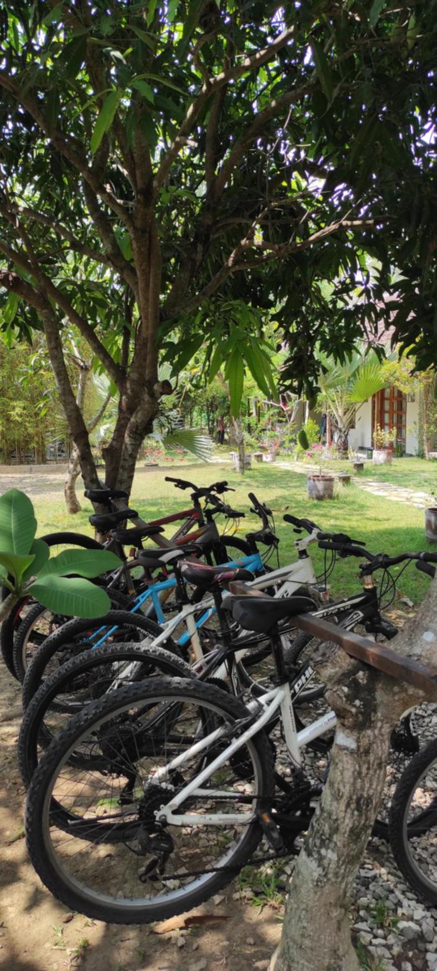 Blue Garden Yogyakarta Hotel Bangunjiwo Exterior photo